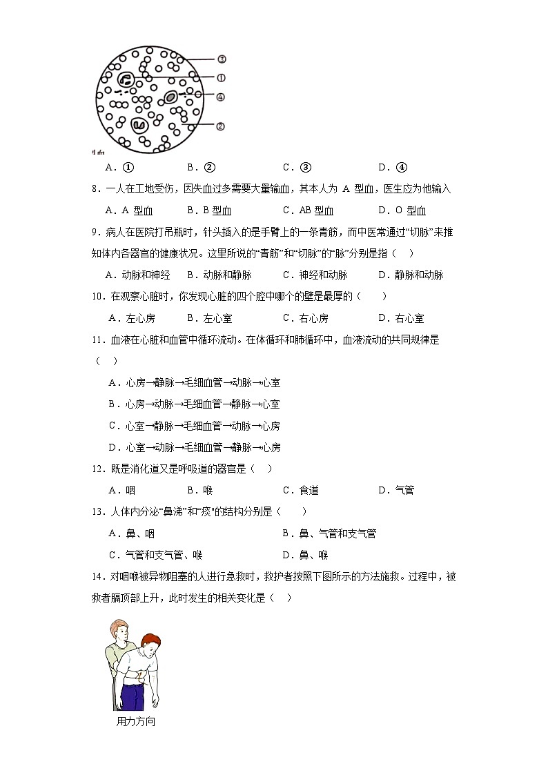 广东省惠州市惠东县2022-2023学年七年级下学期期末生物试题（含答案）02