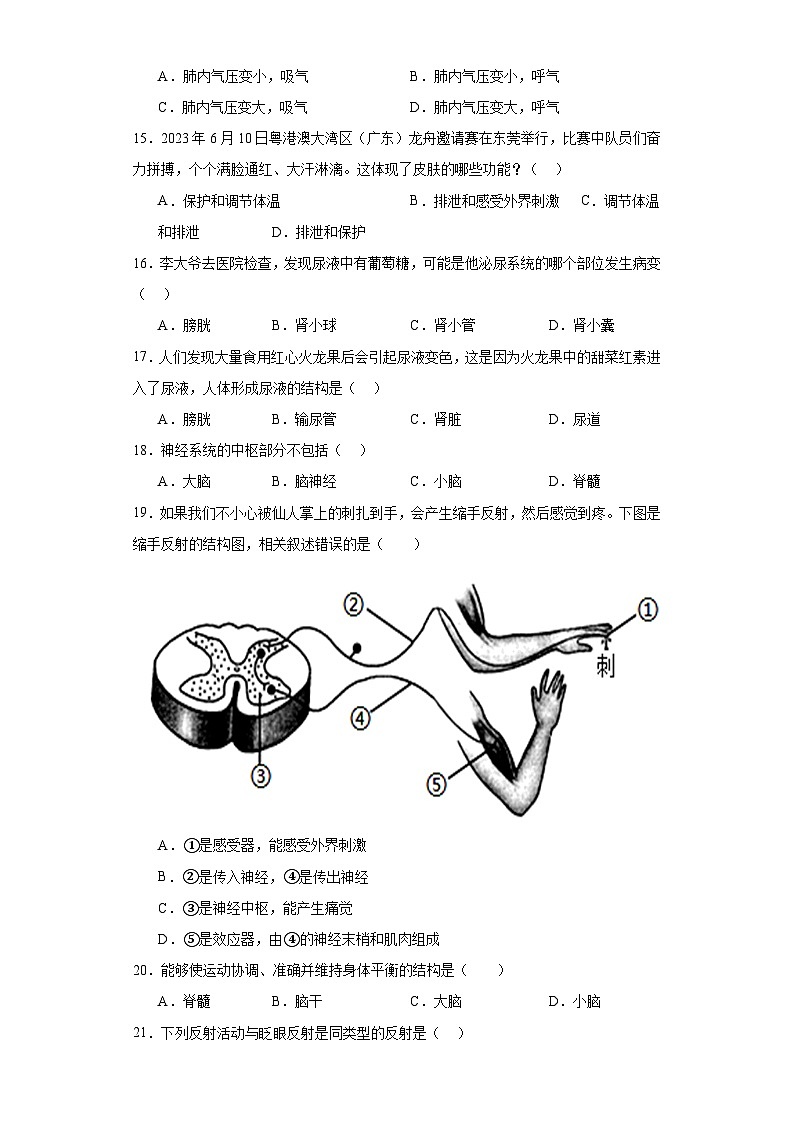 广东省惠州市惠东县2022-2023学年七年级下学期期末生物试题（含答案）03