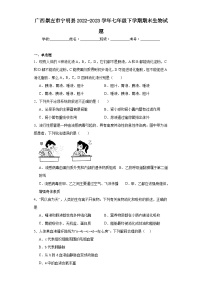 广西崇左市宁明县2022-2023学年七年级下学期期末生物试题（含答案）