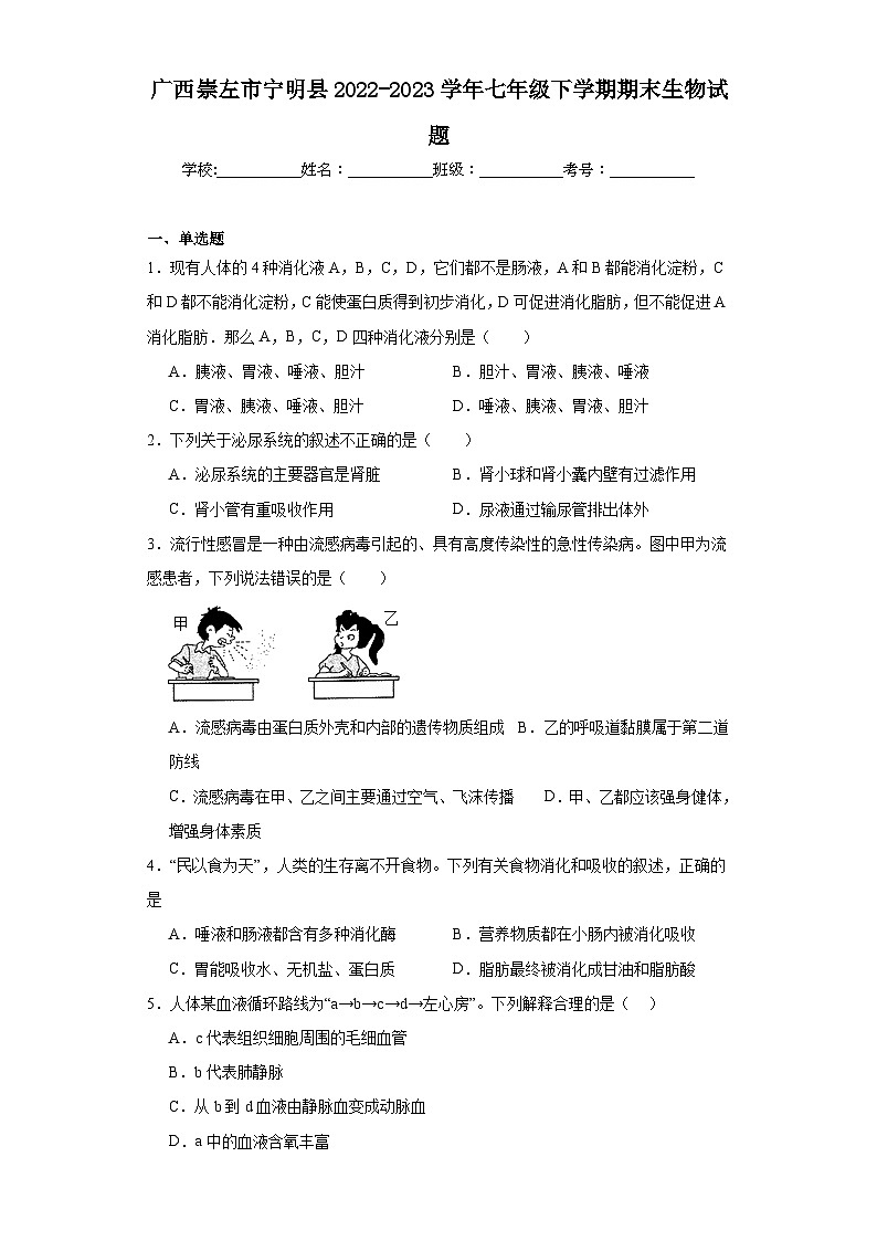 广西崇左市宁明县2022-2023学年七年级下学期期末生物试题（含答案）第1页