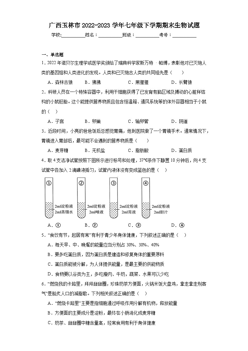 广西玉林市2022-2023学年七年级下学期期末生物试题（含答案）01