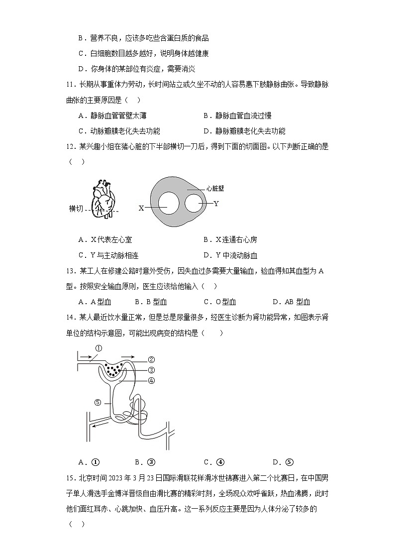 广西玉林市2022-2023学年七年级下学期期末生物试题（含答案）03