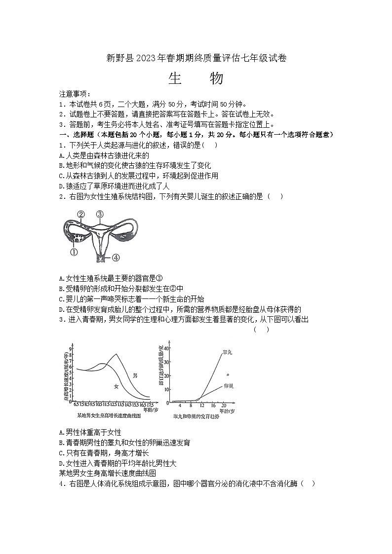 河南省南阳市新野县2022-2023学年七年级下学期6月期末生物试题（含答案）第1页