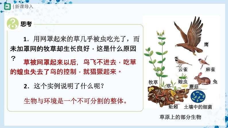 人教版七上生物   1.2.2 生物与环境组成生态系统（第1课时） 课件+教案+练习+导学案03