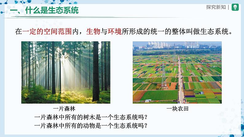 人教版七上生物   1.2.2 生物与环境组成生态系统（第1课时） 课件+教案+练习+导学案04