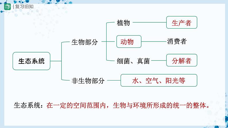 人教版七上生物   1.2.3 生物圈是最大的生态系统 课件+教案+练习+导学案02