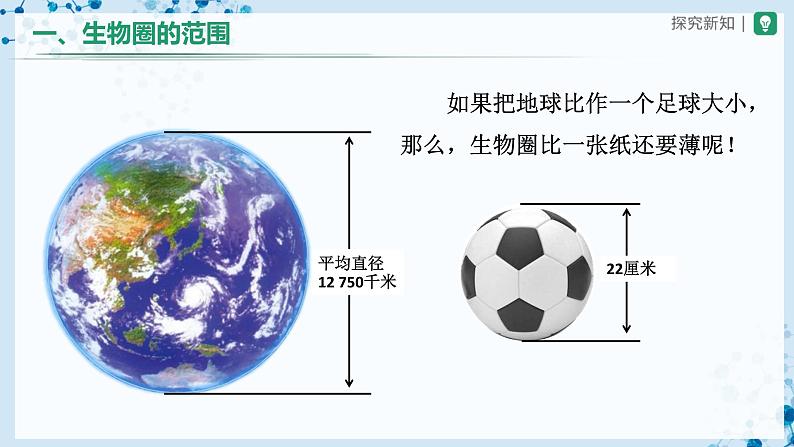 人教版七上生物   1.2.3 生物圈是最大的生态系统 课件+教案+练习+导学案06