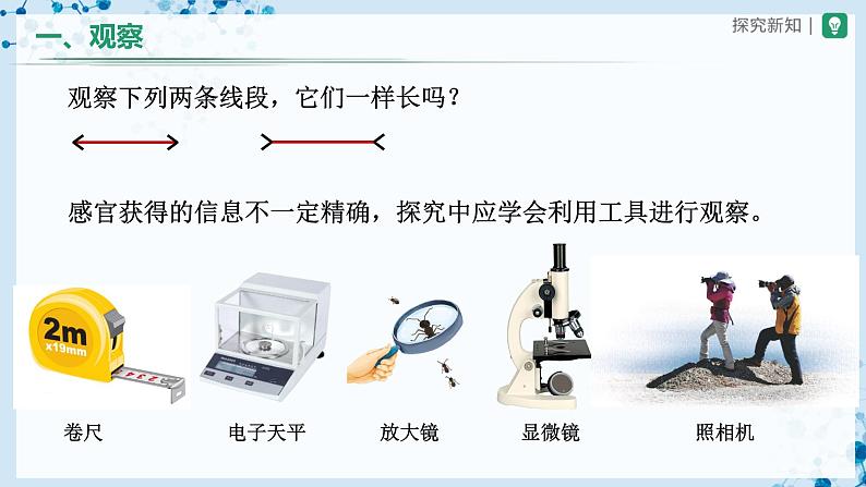 人教版七上生物   1.1.1 生物的特征 课件+教案+练习+导学案06