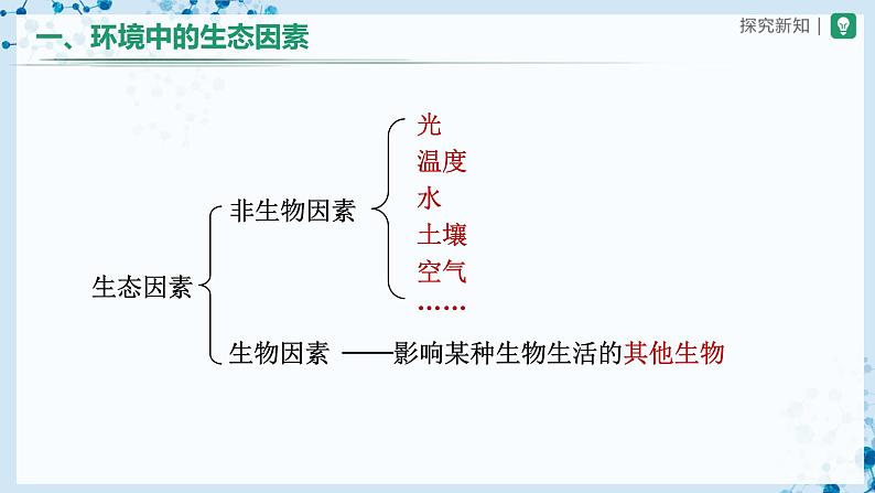 人教版七上生物   1.2.1 生物与环境的关系（第1课时） 课件+教案+练习+导学案07