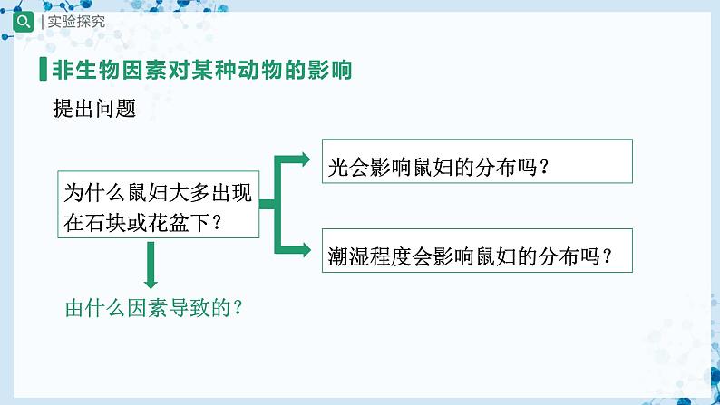 人教版七上生物   1.2.1 生物与环境的关系（第2课时） 课件+教案+练习+导学案05