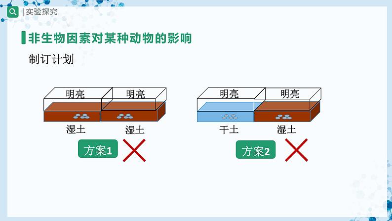 人教版七上生物   1.2.1 生物与环境的关系（第2课时） 课件+教案+练习+导学案08