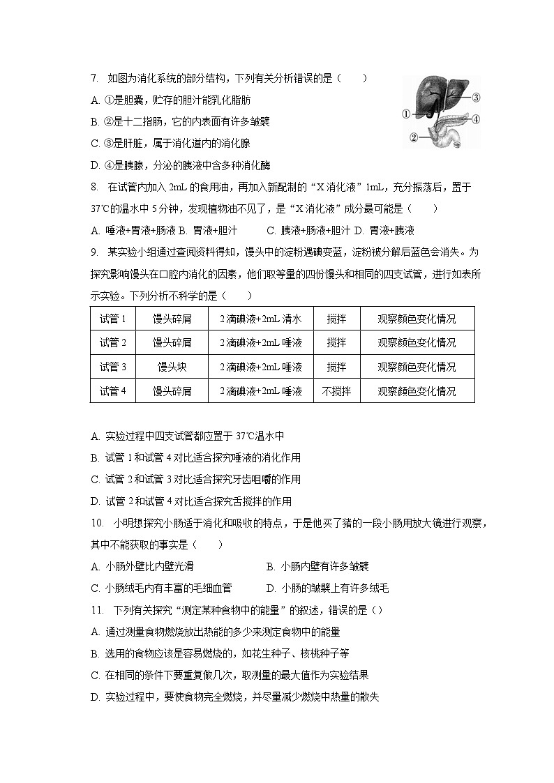 2022-2023学年湖南省邵阳市新邵县七年级（下）期末生物试卷（含解析）第2页