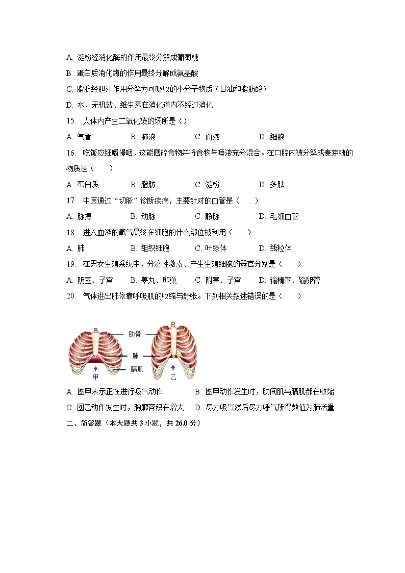 2022-2023学年重庆市巫溪县尖山中学七年级（下）期中生物试卷（含解析）03
