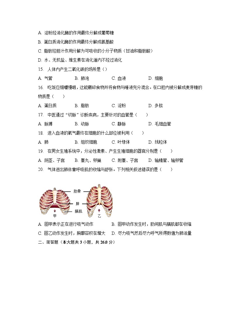 2022-2023学年重庆市巫溪县尖山中学七年级（下）期中生物试卷（含解析）03