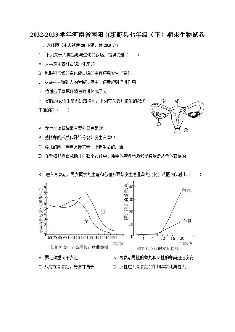 2022-2023学年河南省南阳市新野县七年级（下）期末生物试卷（含解析）第1页