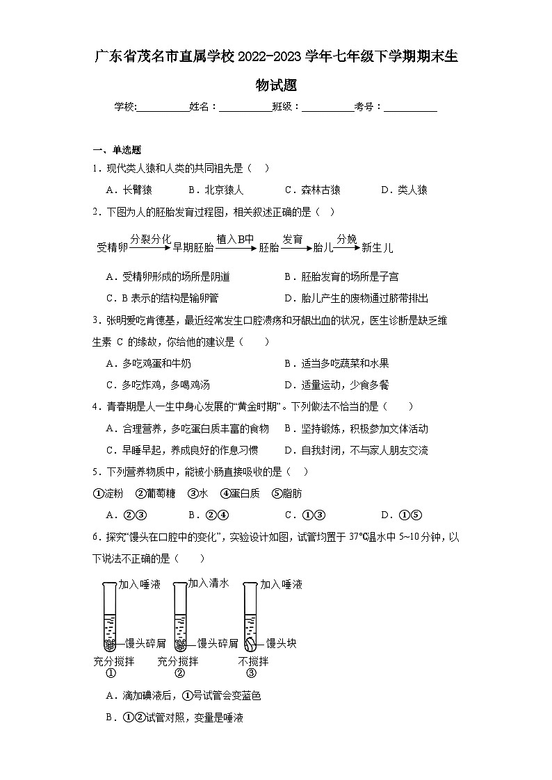 广东省茂名市直属学校2022-2023学年七年级下学期期末生物试题（含答案）01