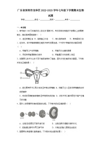 广东省深圳市龙华区2022-2023学年七年级下学期期末生物试题（含答案）