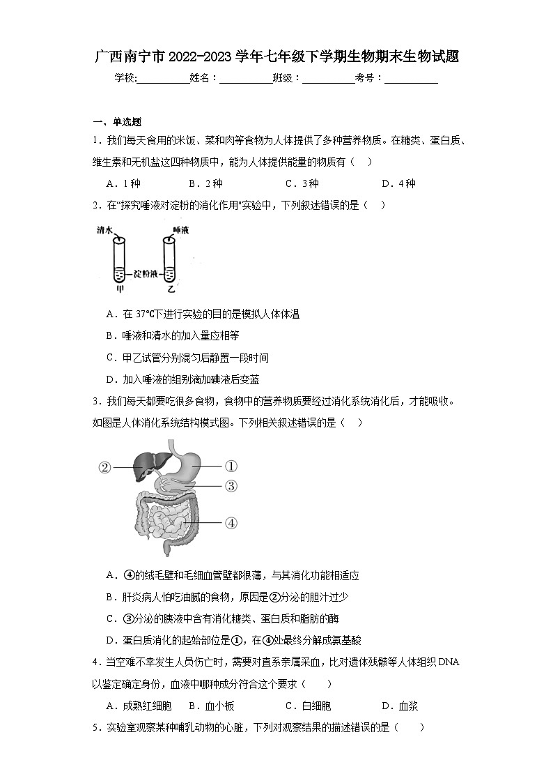 广西南宁市2022-2023学年七年级下学期生物期末生物试题（含答案）第1页