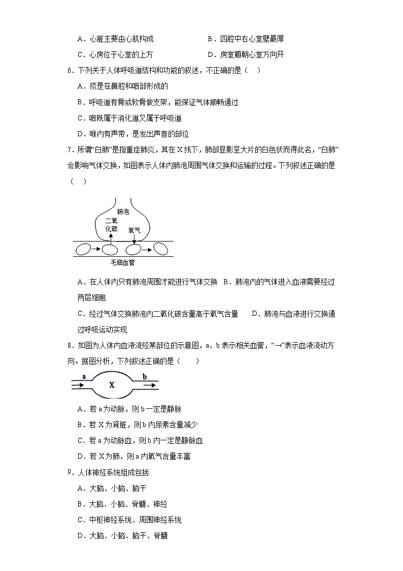 广西南宁市2022-2023学年七年级下学期生物期末生物试题（含答案）第2页