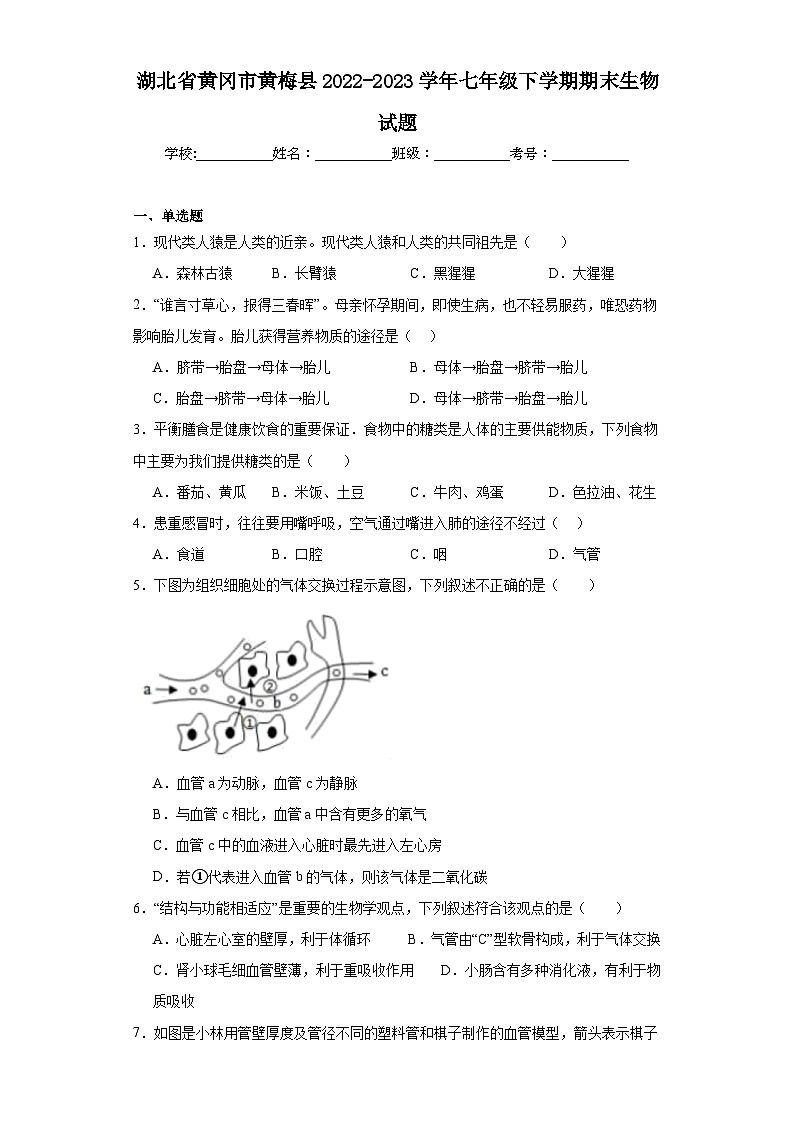 湖北省黄冈市黄梅县2022-2023学年七年级下学期期末生物试题（含答案）第1页
