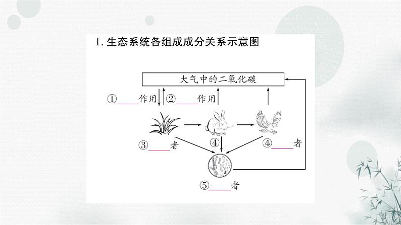 人教版中考生物复习教材基础自测练习课件第2页