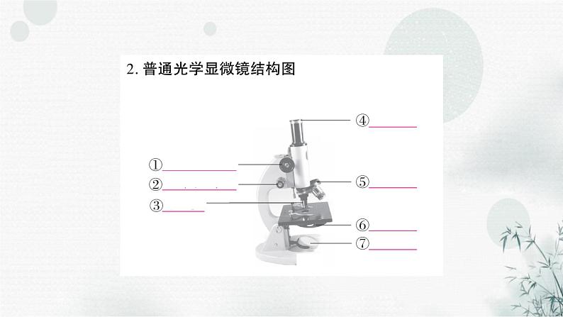 人教版中考生物复习教材基础自测练习课件第3页