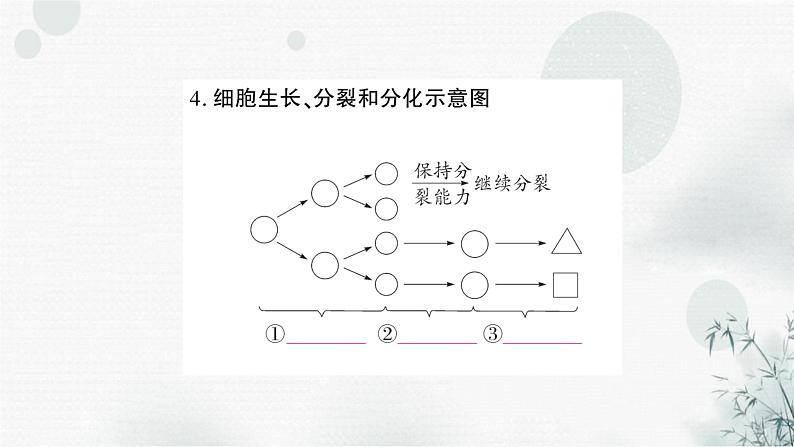 人教版中考生物复习教材基础自测练习课件第5页