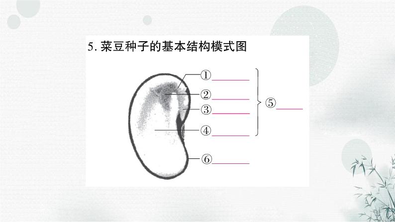 人教版中考生物复习教材基础自测练习课件第6页