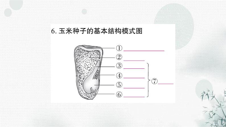 人教版中考生物复习教材基础自测练习课件第7页