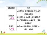 人教版中考生物复习主题一生物与环境第一节生物的生存依赖一定的环境教学课件