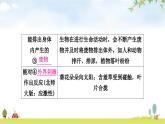人教版中考生物复习主题一生物与环境第一节生物的生存依赖一定的环境教学课件