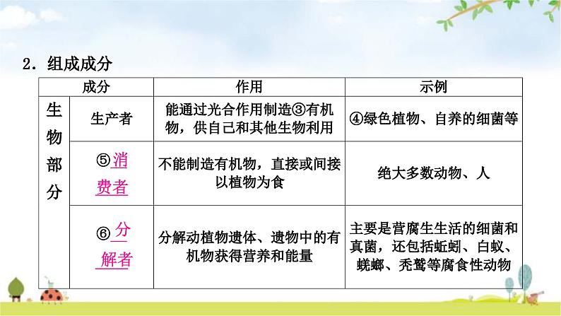 人教版中考生物复习主题一生物与环境第二节生物与环境组成生态系统教学课件04