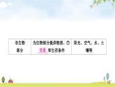 人教版中考生物复习主题一生物与环境第二节生物与环境组成生态系统教学课件