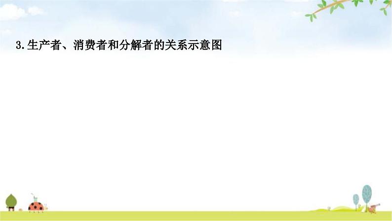 人教版中考生物复习主题一生物与环境第二节生物与环境组成生态系统教学课件06