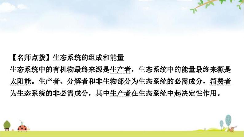 人教版中考生物复习主题一生物与环境第二节生物与环境组成生态系统教学课件07