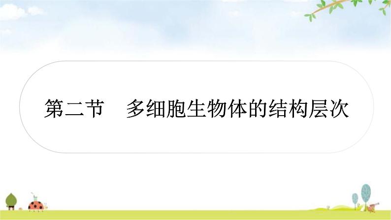 人教版中考生物复习主题二生物体的结构层次第二节多细胞生物体的结构层次教学课件第1页