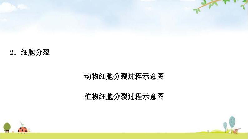 人教版中考生物复习主题二生物体的结构层次第二节多细胞生物体的结构层次教学课件第4页