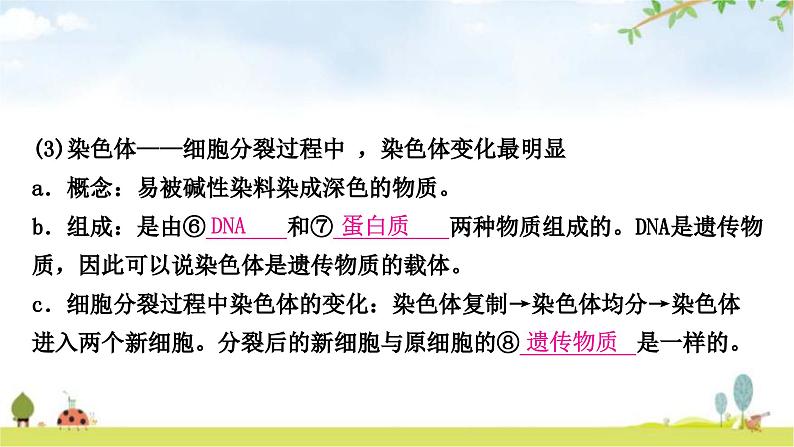 人教版中考生物复习主题二生物体的结构层次第二节多细胞生物体的结构层次教学课件第6页