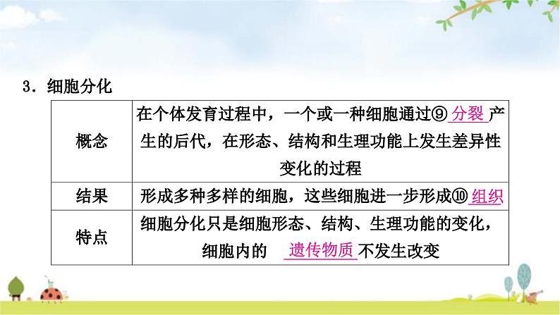 人教版中考生物复习主题二生物体的结构层次第二节多细胞生物体的结构层次教学课件第7页