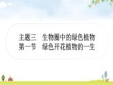 人教版中考生物复习主题三生物圈中的绿色植物第一节绿色开花植物的一生教学课件