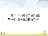 人教版中考生物复习主题三生物圈中的绿色植物第一节绿色开花植物的一生教学课件
