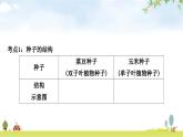 人教版中考生物复习主题三生物圈中的绿色植物第一节绿色开花植物的一生教学课件
