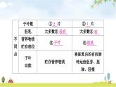 人教版中考生物复习主题三生物圈中的绿色植物第一节绿色开花植物的一生教学课件