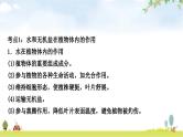 人教版中考生物复习主题三生物圈中的绿色植物第二节绿色植物的生活需要水和无机盐教学课件