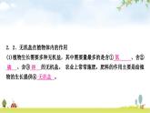 人教版中考生物复习主题三生物圈中的绿色植物第二节绿色植物的生活需要水和无机盐教学课件