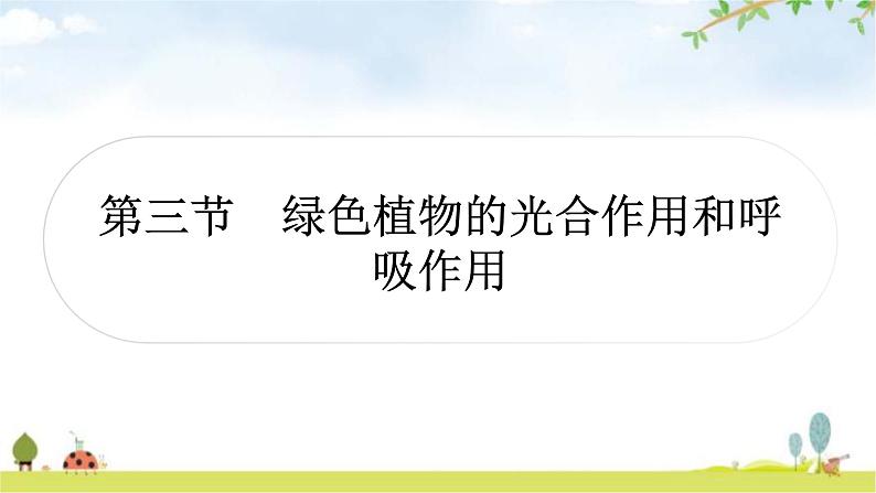 人教版中考生物复习主题三生物圈中的绿色植物第三节绿色植物的光合作用和呼吸作用教学课件01