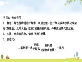 人教版中考生物复习主题三生物圈中的绿色植物第三节绿色植物的光合作用和呼吸作用教学课件