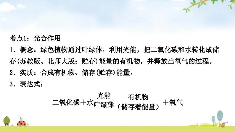 人教版中考生物复习主题三生物圈中的绿色植物第三节绿色植物的光合作用和呼吸作用教学课件04