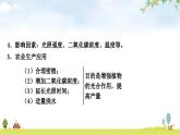 人教版中考生物复习主题三生物圈中的绿色植物第三节绿色植物的光合作用和呼吸作用教学课件