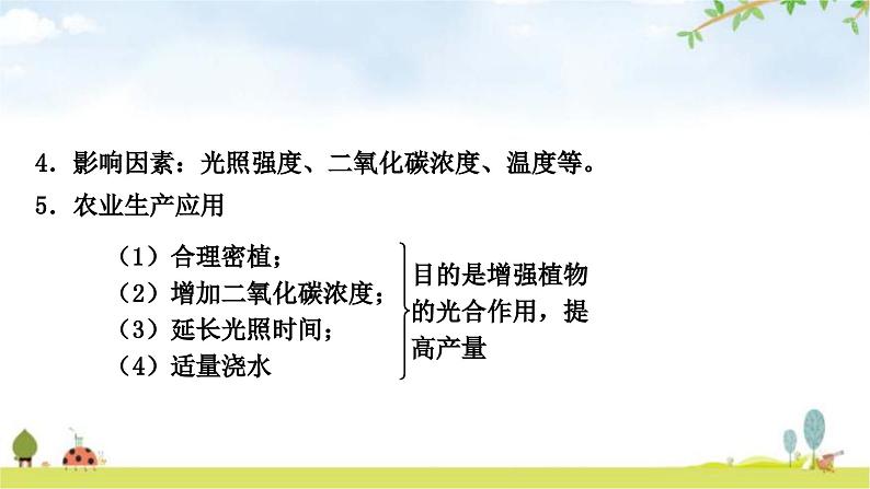 人教版中考生物复习主题三生物圈中的绿色植物第三节绿色植物的光合作用和呼吸作用教学课件05